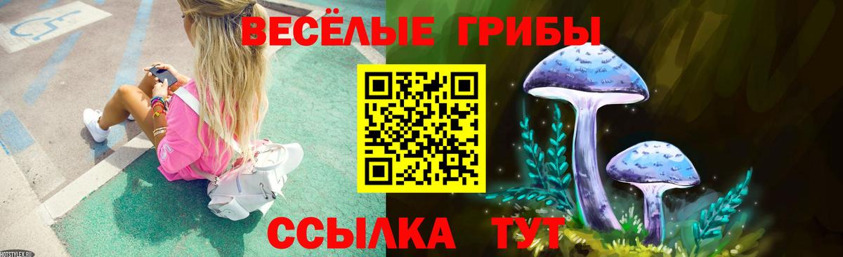 Псилоцибиновые грибы GOLDEN TEACHER Бутурлиновка